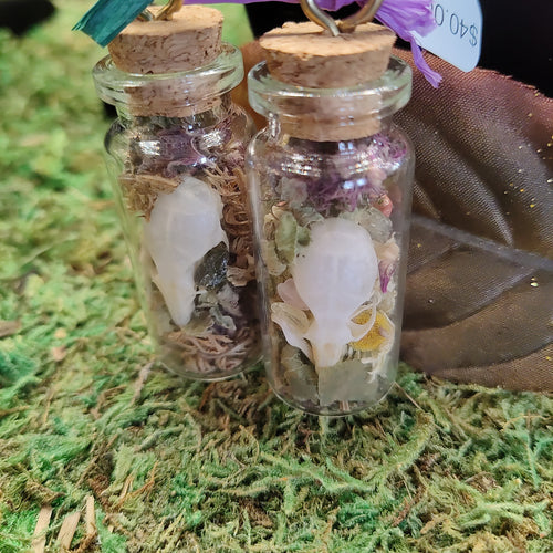 Anxiety Spell Jars (Mouse Skulls)