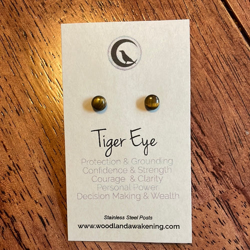 Tigers Eye Studs Woodland Awakening- 6mm Handcrafted Reiki infused Crystal Stud Earring with varies - Stainless Steel posts 