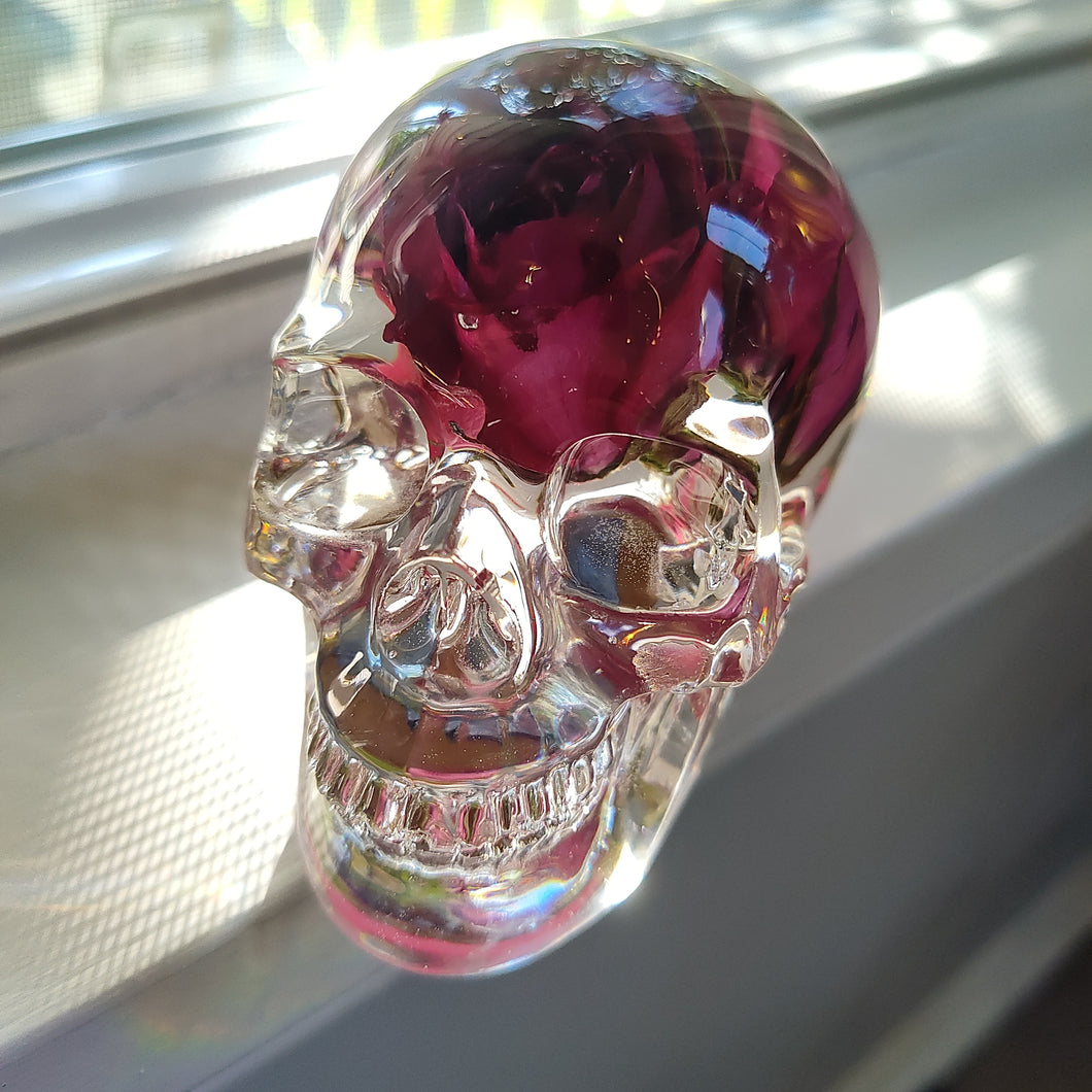 Aphrodite Rose Medium Skull