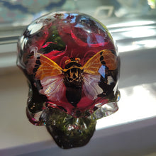 Load image into Gallery viewer, Cicada and Real Rose Large Skull
