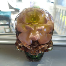 Load image into Gallery viewer, Artificial Succulent Large Skull
