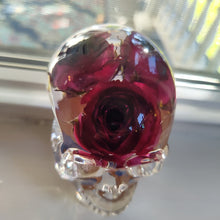 Load image into Gallery viewer, Aphrodite Rose Medium Skull
