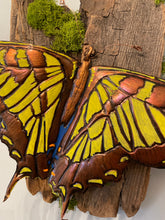 Load image into Gallery viewer, Hand Tooled and Painted Swallowtail Butterfly
