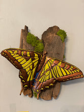 Load image into Gallery viewer, Hand Tooled and Painted Swallowtail Butterfly
