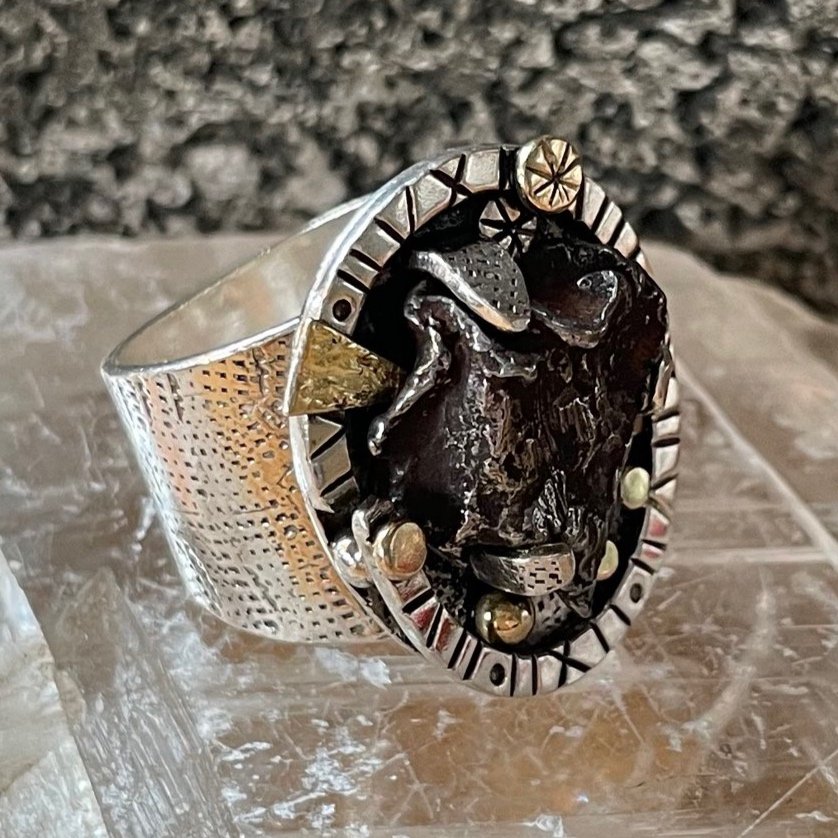 Time Traveler Ring - Meteorite, statement ring, statement jewelry, 18kgold, sterling silver
