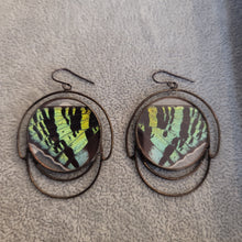 Load image into Gallery viewer, Sunset Moth Time Change Earrings
