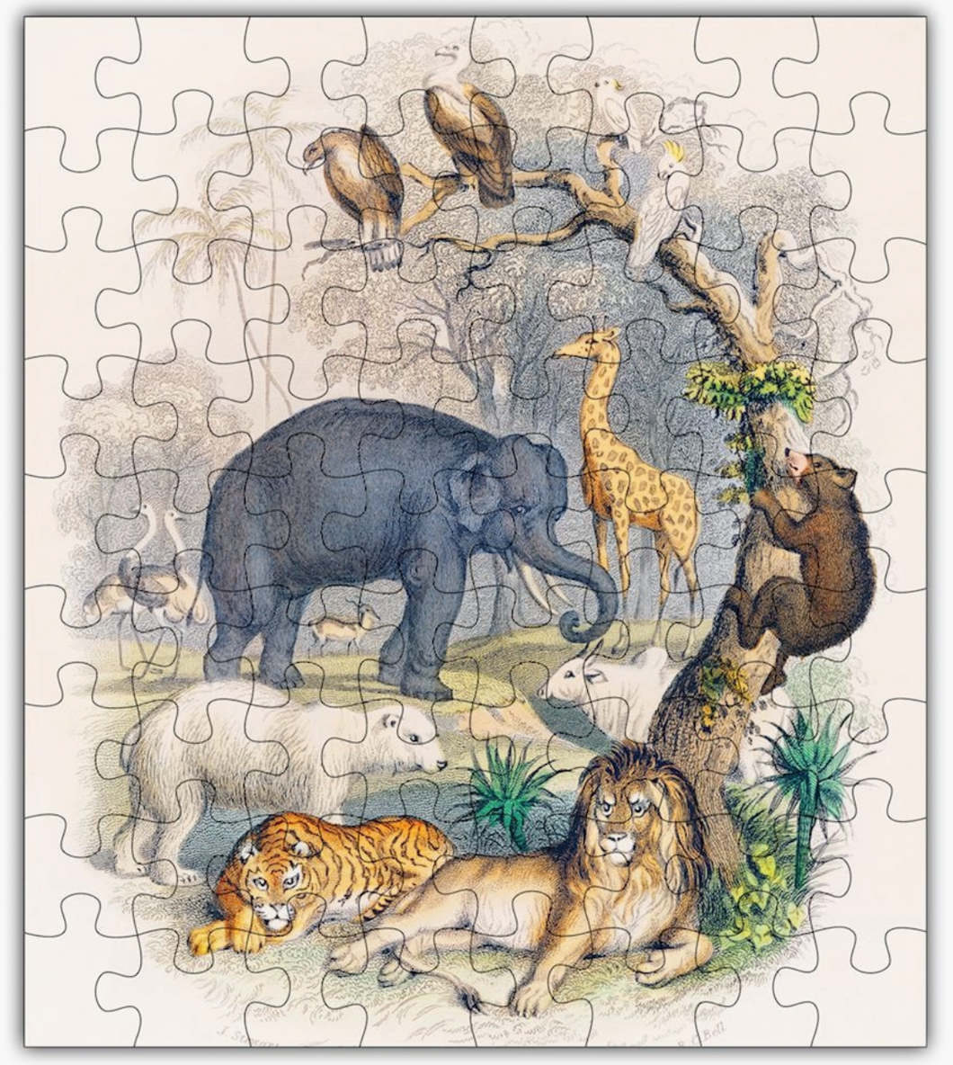 Zoo Animal Puzzle